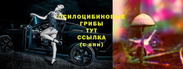 индика Нефтекумск