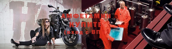 индика Нефтекумск