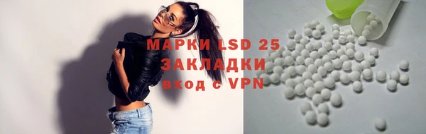 ECSTASY Новозыбков