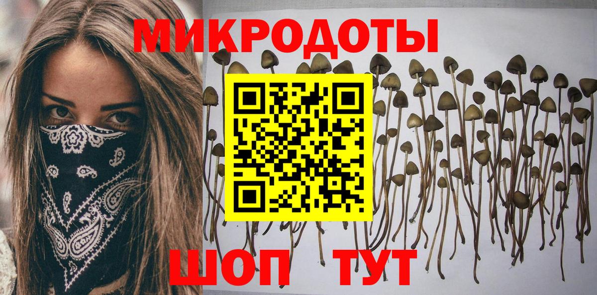 Псилоцибиновые грибы GOLDEN TEACHER Москва